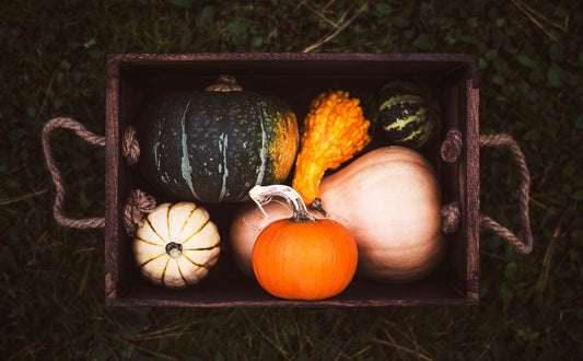 October Newsletter 2025